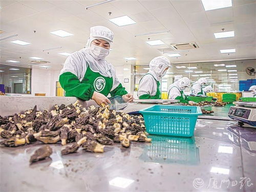 因地制宜發(fā)展城郊型高附加值特色農業(yè) 解析廈門深入踐行大食物觀具體做法