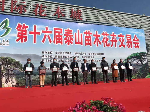 喜訊 抬頭園林榮獲泰安苗木交易會(huì) 產(chǎn)品金獎(jiǎng)